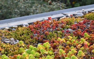 the cost of Widows Row green roof installation