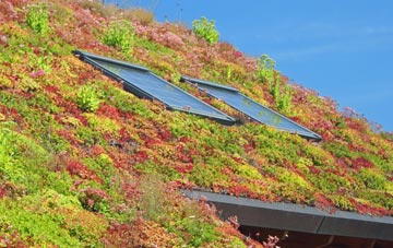 Widows Row living roof systems